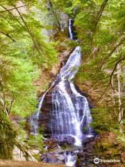 Moss Glen Falls