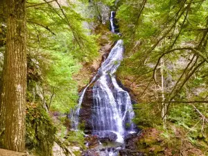 Moss Glen Falls