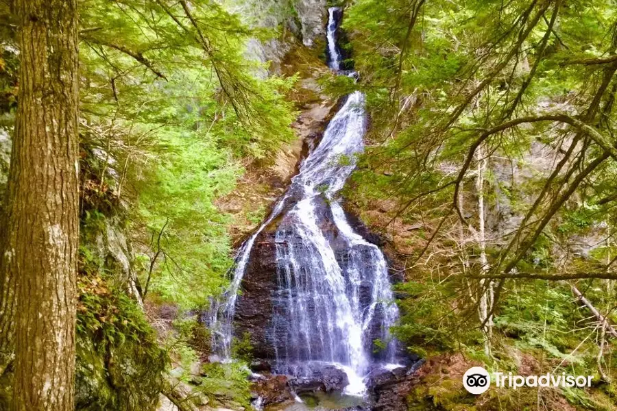 Moss Glen Falls