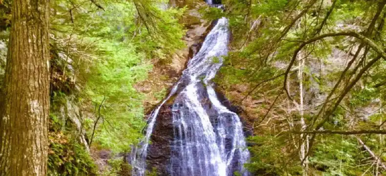 Stowe