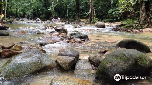 Sungai Tua Recreational Forest