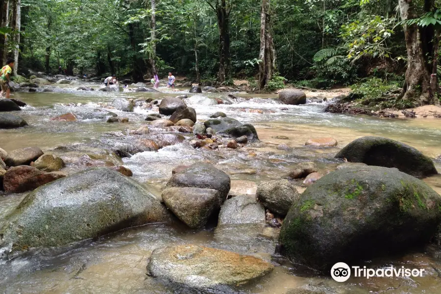 Sungai Tua Recreational Forest