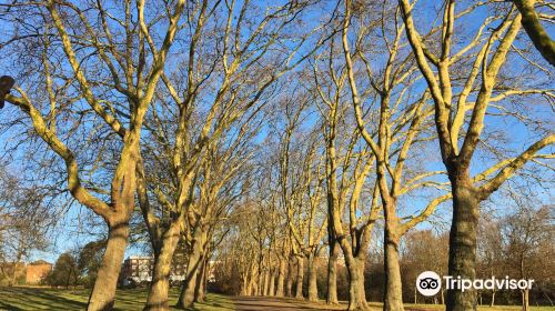 Gladstone Park