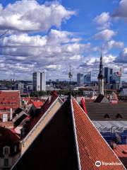 Patkuli • terrazza panoramica