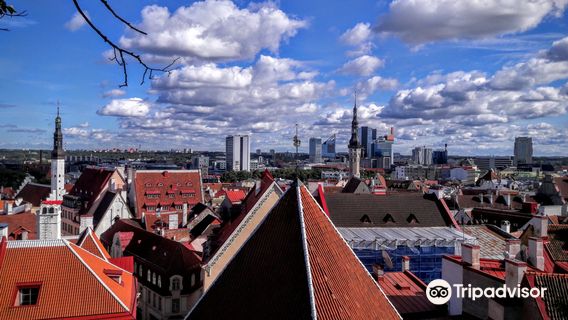 Patkuli Viewing Platform