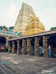 Sri Mallikarjuna Swamy Temple