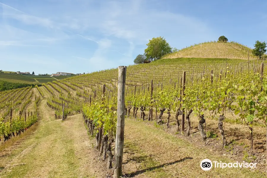 Azienda Agricola San Biagio