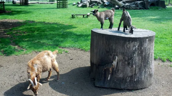 Lindenthaler Tierpark