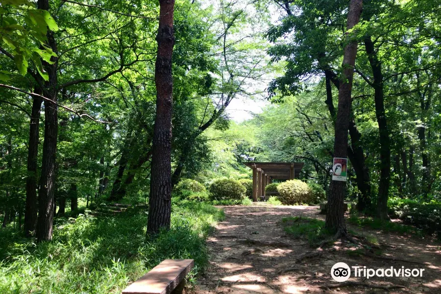 Sengenyama Park St