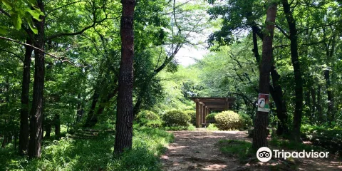 仙元山公園