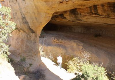 Moonshine Arch