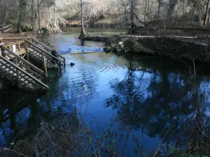 Madison Blue Spring State Park