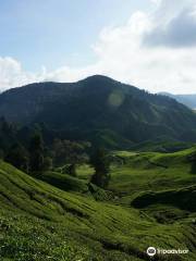 Gunung Brinchang