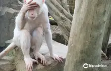 Hidden Mini Zoo Bali