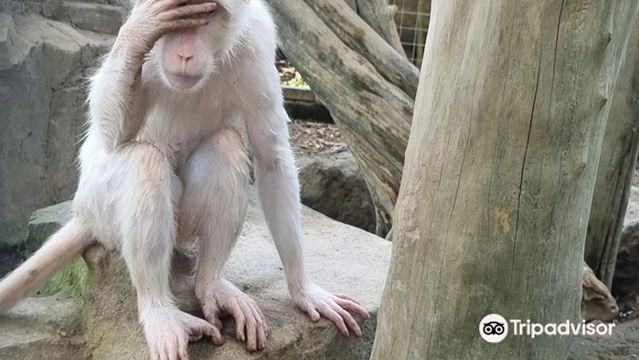 Hidden Mini Zoo Bali