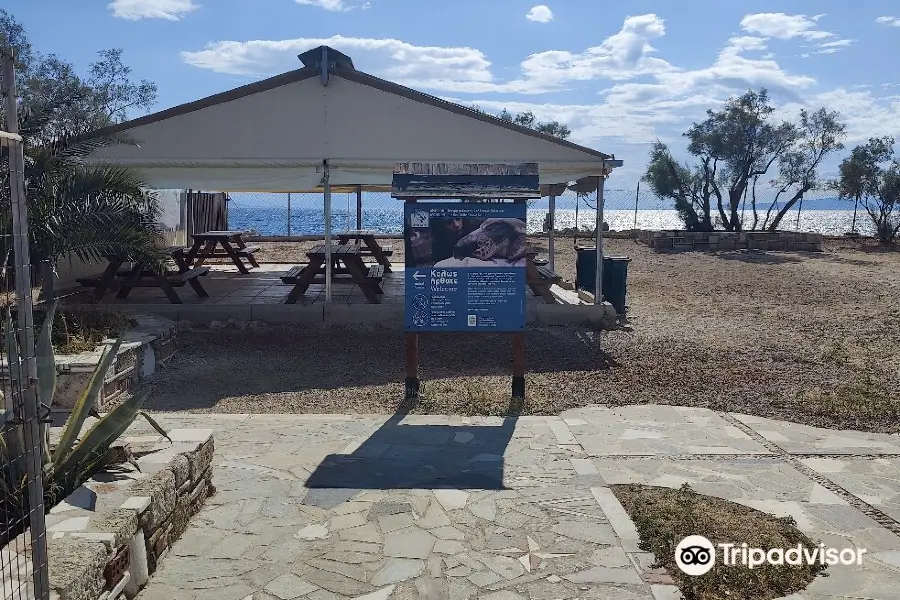 ARCHELON Τhe Sea Turtle Protection Society of Greece