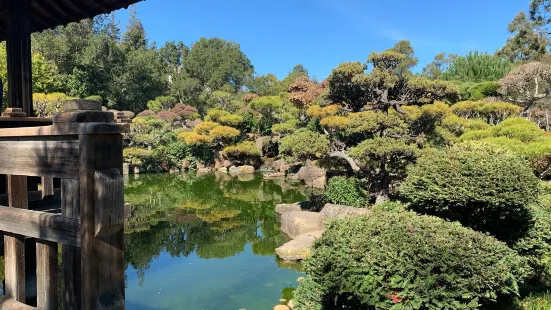 Hayward Japanese Gardens