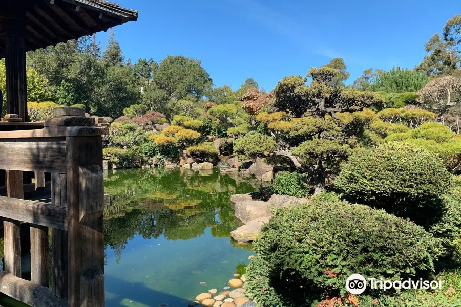 Hayward Japanese Gardens