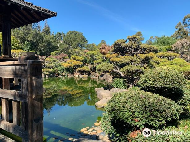 Hayward Japanese Gardens