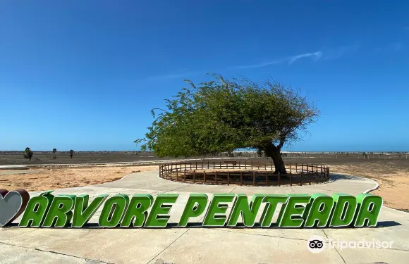 路易斯－科雷亞