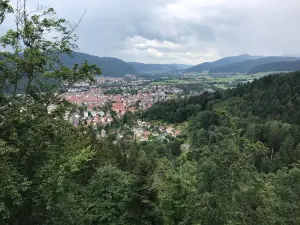 Purign GmbH