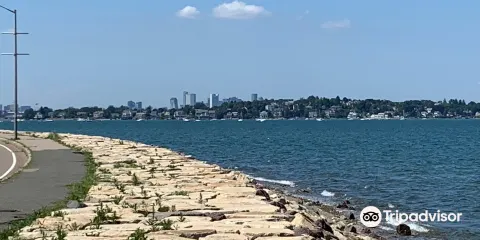 Wollaston Beach