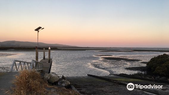 Tidal River