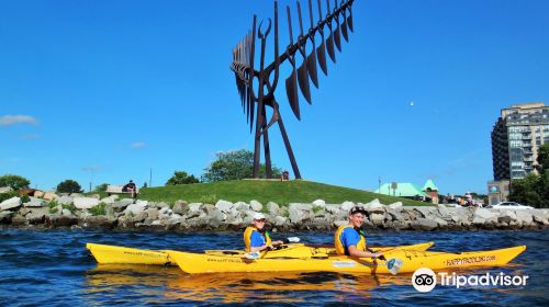 Happy Paddling