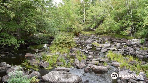 Cameron's Brook Provincial Park