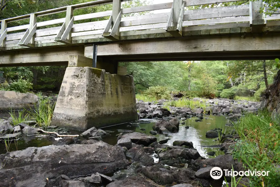 parc provincial Camerons Brook