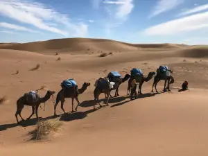 Caravane Tidri