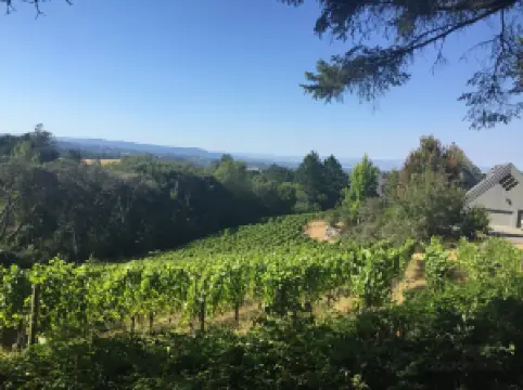 Halleck Vineyard Estate Winery