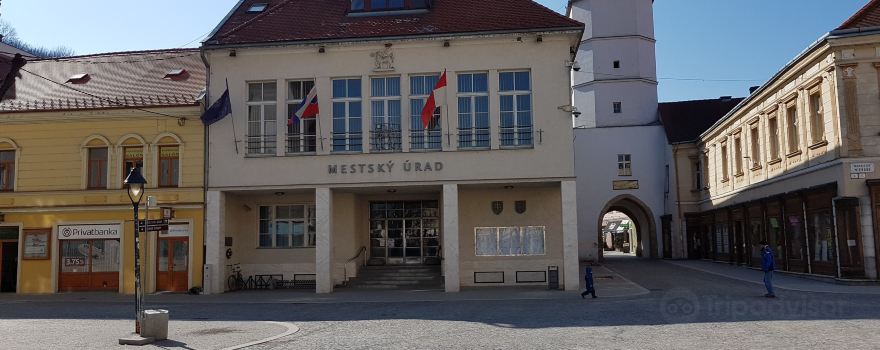 Nemsova