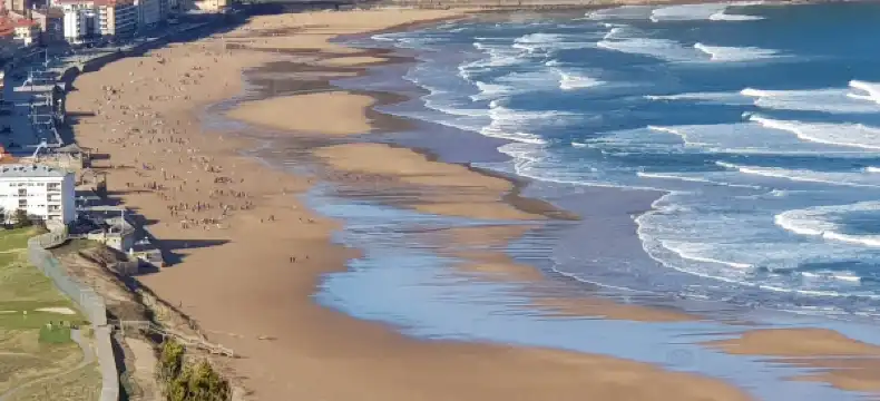 자라우츠