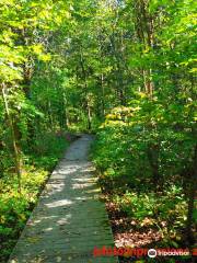 Lawrence Woods State Nature Preserve