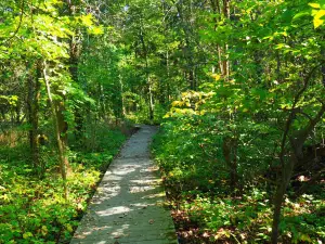 Lawrence Woods State Nature Preserve