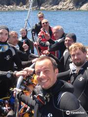 Archipel Plongée Argelès Sur Mer