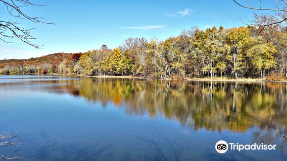 Парк штата Раднор Лейк