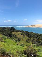 Sandtrails Hokianga