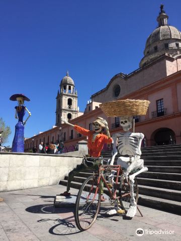 Plaza Gonzalez Arratia