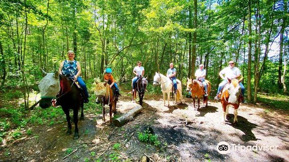 Kay's Acres, LLC