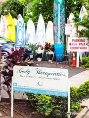 Body Therapeutics Maui