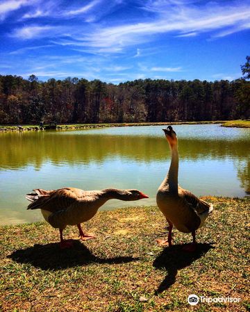 Ed Lisenby Lake