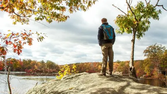 Ringwood State Park