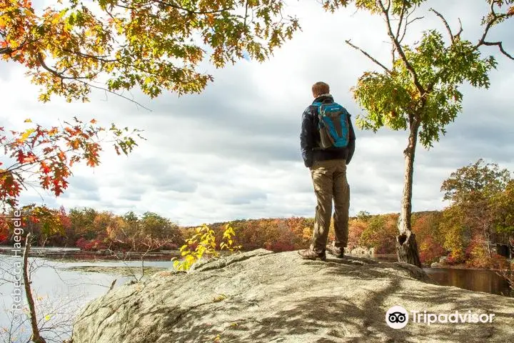 Ringwood State Park