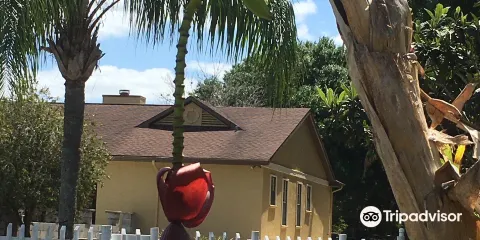 Rosa Fiorelli Winery