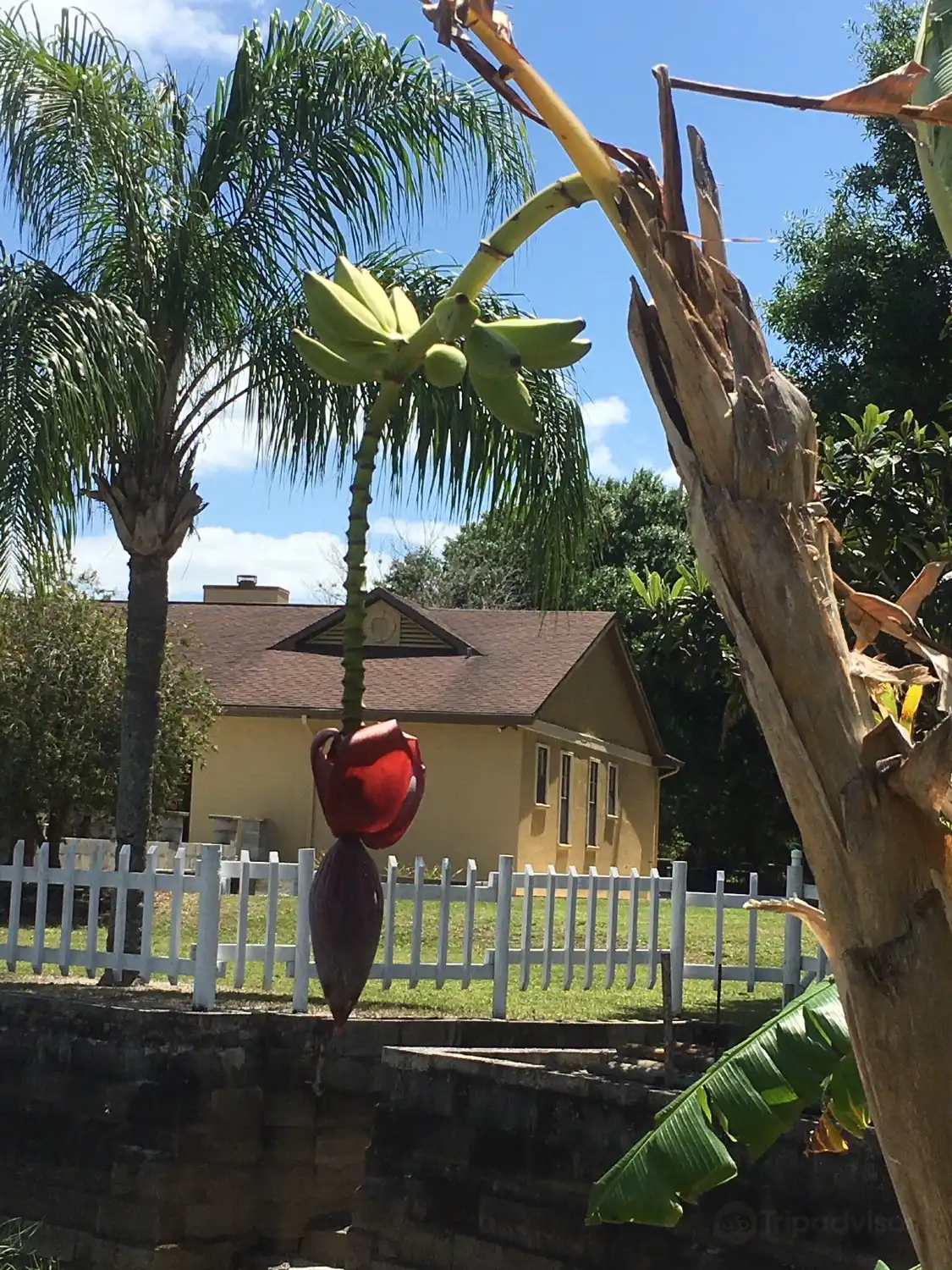 Hotels near Fiorelli Winery