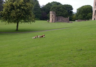 Eglinton Country Park