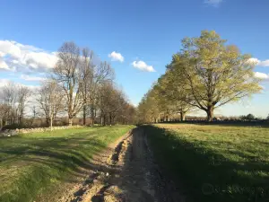 Topsmead State Forest