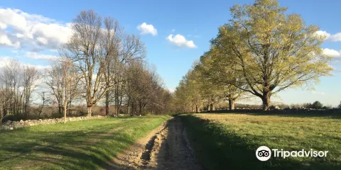 Topsmead State Forest